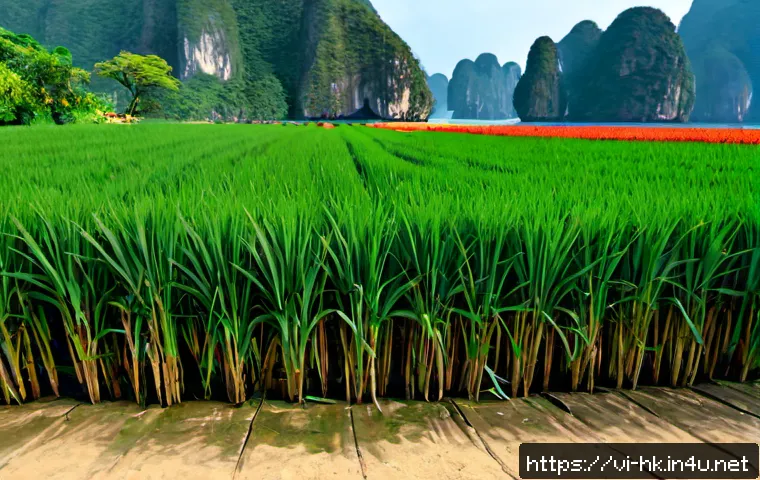 Quá trình phát triển kinh tế Hong Kong: Từ cảng tự do đến trung tâm tài chính quốc tế 4 홍콩의 경제 발전 과정 관련 이미지 2
